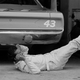 Illustration for article titled Jump Onboard Richard Pettys 200MPH Plymouth Superbird 45 Years Later